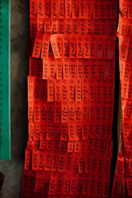 stack on safe manual